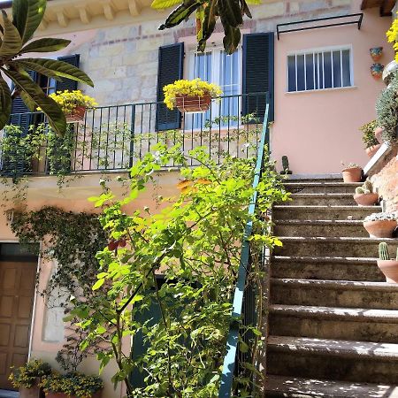 La Terrazza Sul Monferrato Lejlighed Ozzano Monferrato Eksteriør billede