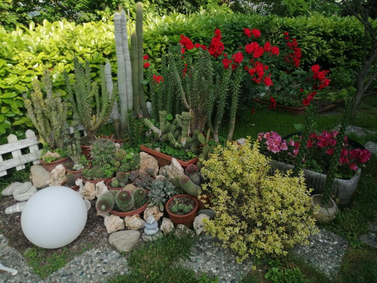 La Terrazza Sul Monferrato Lejlighed Ozzano Monferrato Eksteriør billede